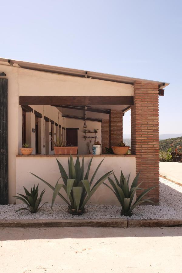 The Wild Olive Andalucia Agave Guestroom Касарес Екстер'єр фото